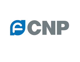 Nanfang Pump/CNP logo