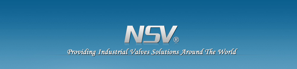 NSV VALVE logo