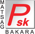 PSK ELECTRONIC logo