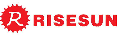 RISESUN Electrical logo